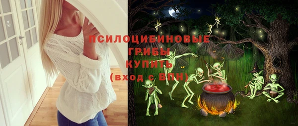 СК Бугульма