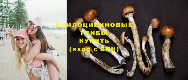 СК Бугульма