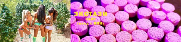 прущая мука Бородино
